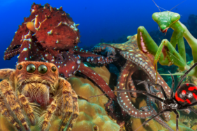 site foto ölcusu - 2023-09-21T234335.541