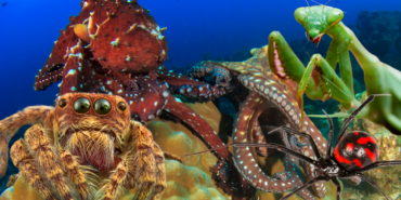 site foto ölcusu - 2023-09-21T234335.541