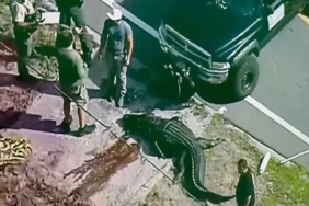 site foto ölcusu - 2023-09-23T114146.747