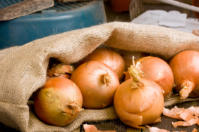 site foto ölcusu (13)