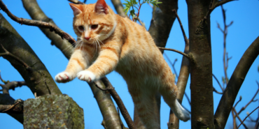 site foto ölcusu - 2023-10-02T105850.234