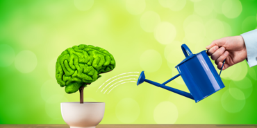 site foto ölcusu - 2023-10-02T114001.709