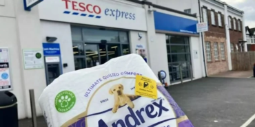 site foto ölcusu - 2023-10-05T121015.197