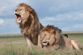 site foto ölcusu - 2023-10-07T135427.330