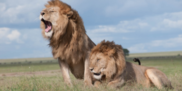 site foto ölcusu - 2023-10-07T135427.330