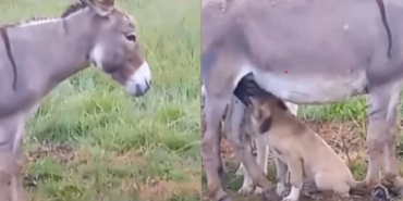 site foto ölcusu - 2023-10-08T150517.887