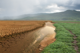 site foto ölcusu - 2023-10-12T211038.052