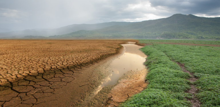 Dünya Meteoroloji Örgütü uyardı! Yeni felaket kapıda
