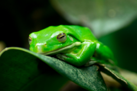 site foto ölcusu - 2023-10-12T211647.053