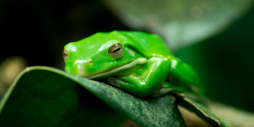 site foto ölcusu - 2023-10-12T211647.053