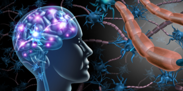 site foto ölcusu - 2023-10-16T150414.765