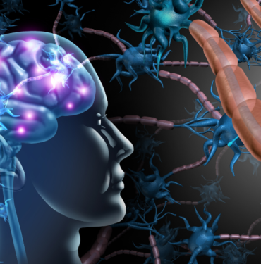 site foto ölcusu - 2023-10-16T150414.765