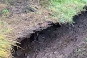 site foto ölcusu (48)