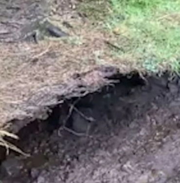 site foto ölcusu (48)