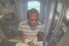 site foto ölcusu (6)