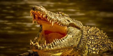 site foto ölcusu (68)