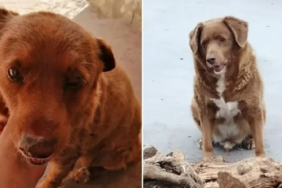 site foto ölcusu (74)