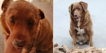 site foto ölcusu (74)