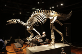 site foto ölcusu (8)