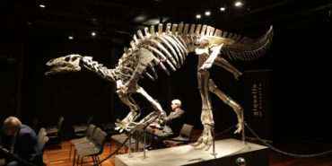 site foto ölcusu (8)