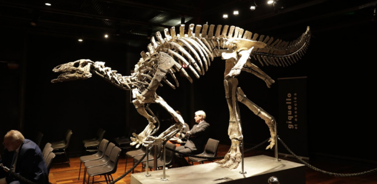 Dinozor Barry, 930 bin Euro’ya satıldı