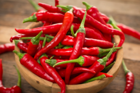 site foto ölcusu - 2023-11-01T005009.183