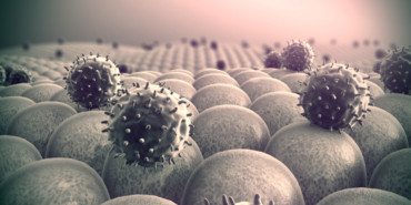 site foto ölcusu - 2023-11-12T222756.503