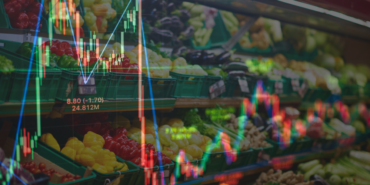 site foto ölcusu - 2023-11-15T164609.082