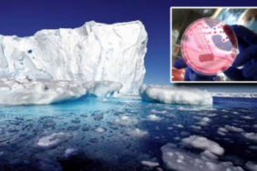 site foto ölcusu - 2023-11-15T224323.013