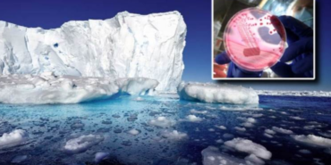 site foto ölcusu - 2023-11-15T224323.013