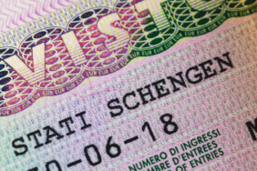 site foto ölcusu - 2023-11-16T142303.737