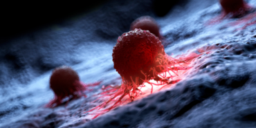 site foto ölcusu - 2023-11-20T212254.200