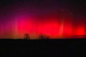 site foto ölcusu (69)