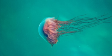 site foto ölcusu - 2023-12-11T145910.531