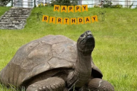 site foto ölcusu - 2023-12-12T004036.865