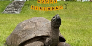 site foto ölcusu - 2023-12-12T004036.865