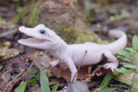 site foto ölcusu - 2023-12-16T013447.407