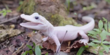 site foto ölcusu - 2023-12-16T013447.407