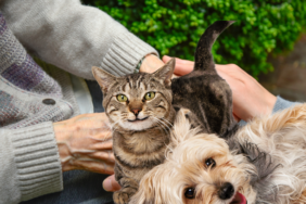 site foto ölcusu - 2024-01-25T230553.253