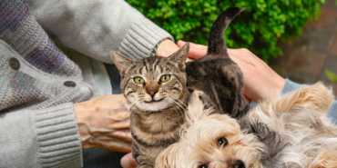 site foto ölcusu - 2024-01-25T230553.253