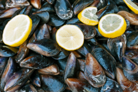 site foto ölcusu - 2024-02-01T095118.745