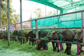 site foto ölcusu - 2024-02-13T215236.950