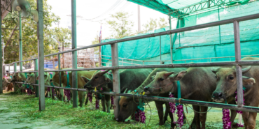 site foto ölcusu - 2024-02-13T215236.950