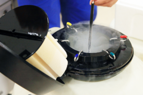 site foto ölcusu - 2024-02-14T214143.490