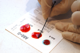 site foto ölcusu (92)