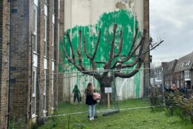 site foto ölcusu (1)