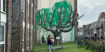 site foto ölcusu (1)