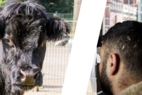 site foto ölcusu (11)