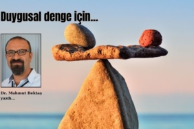 site foto ölcusu (2)