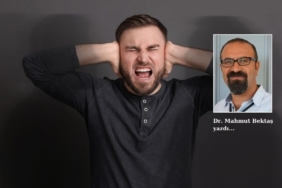 site foto ölcusu (4)